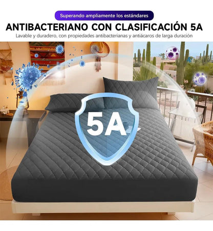 https://img.kwcdn.com/local-goods-image-g/2123a65a18/3d2cdf68-c60f-4190-9a79-61d49d760d64_1000x1083.jpeg.format.jpg