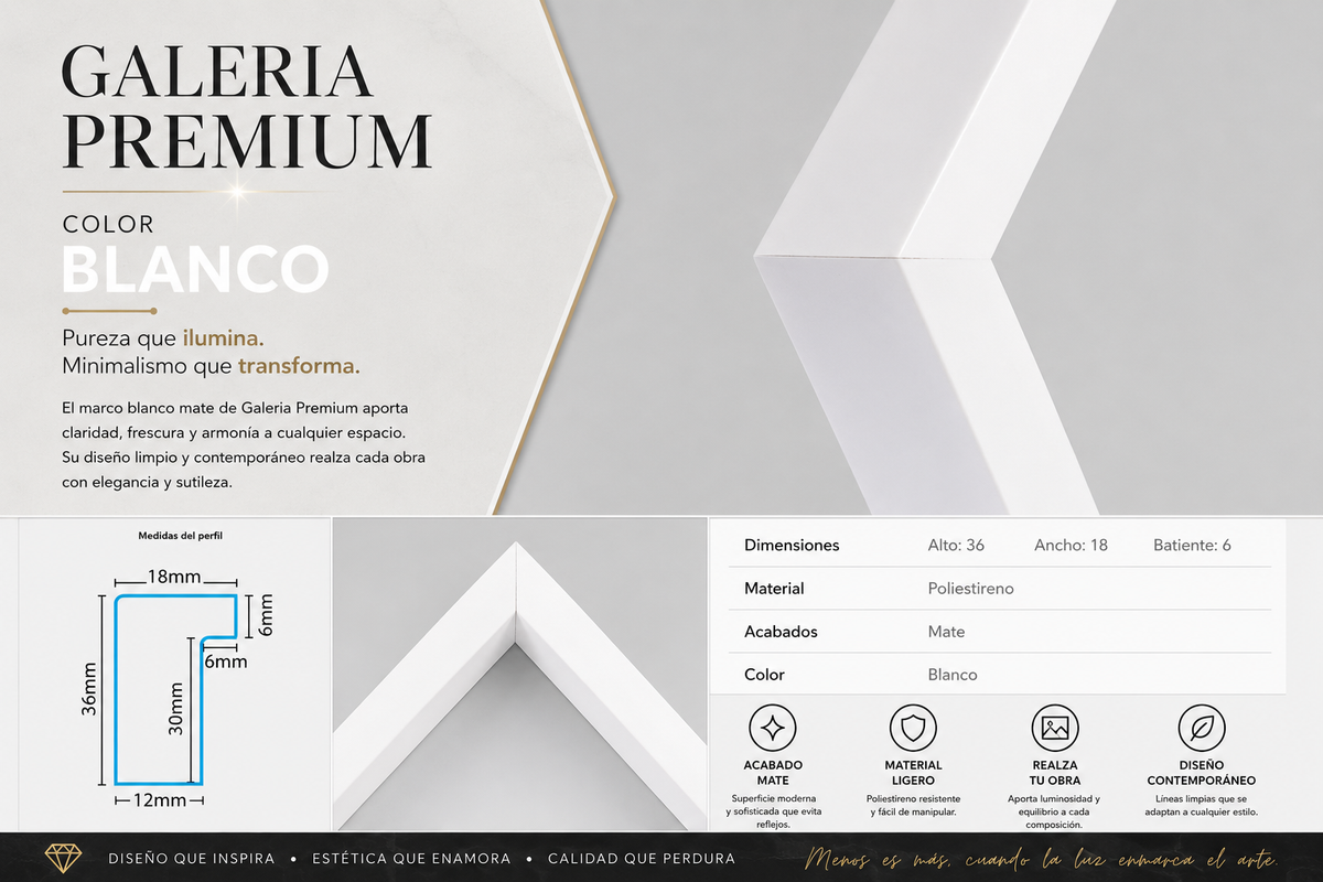 Marco Premium Colección Galeria BLANCO ALE-04