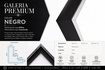 Marco Premium Colección Galeria NEGRO ALE-33