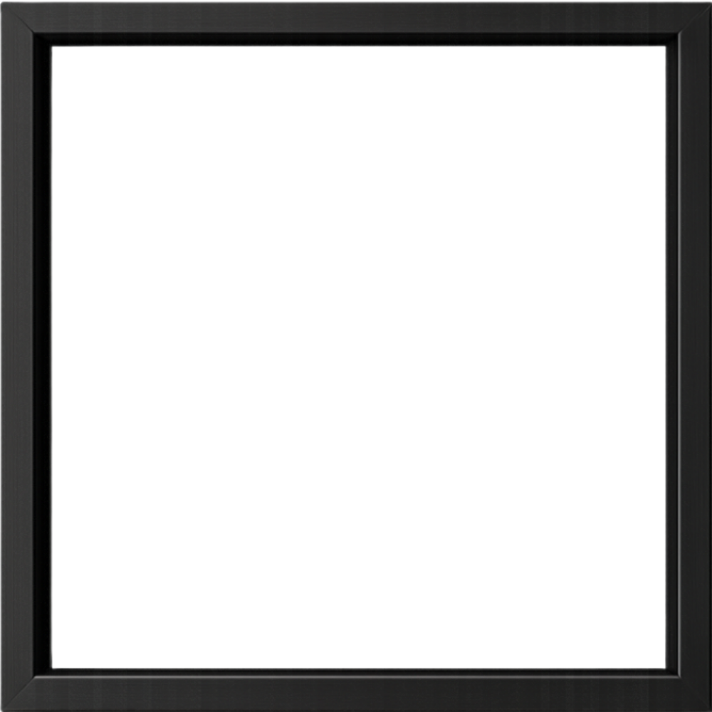 Laque Negro