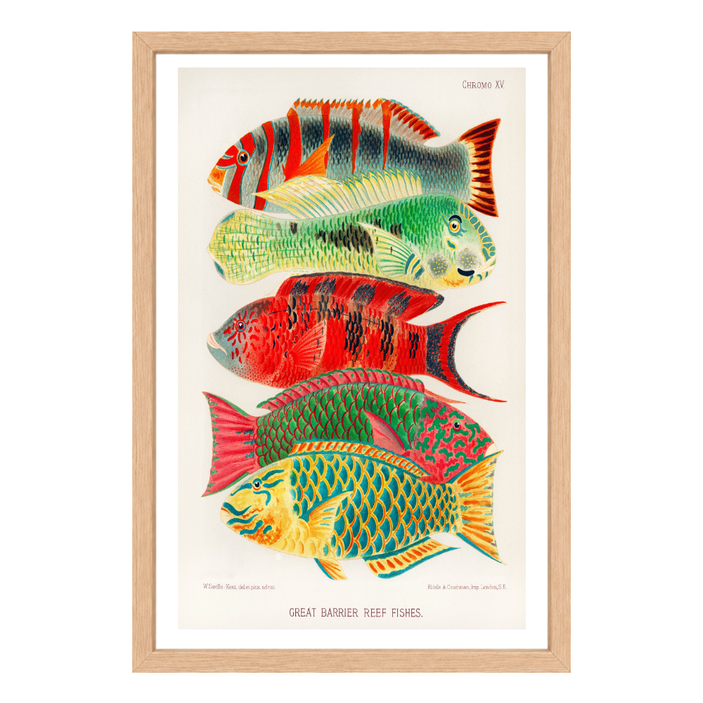 Recarga vertical Larga Switch in Art impressa Print de Galería " Peces de la Gran Barrera de Coral "