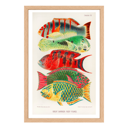 Recarga vertical Larga Switch in Art impressa Print de Galería " Peces de la Gran Barrera de Coral "