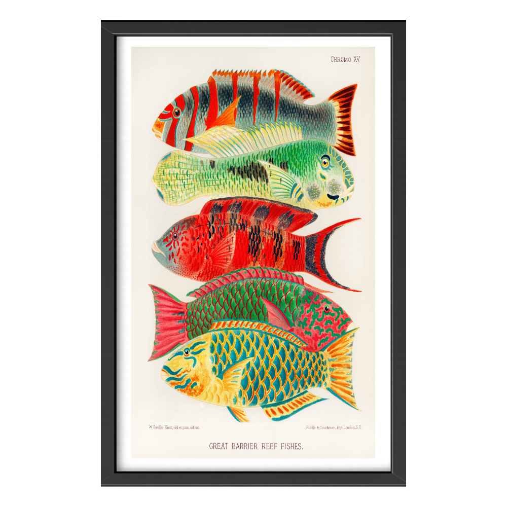 Recarga vertical Larga Switch in Art impressa Print de Galería " Peces de la Gran Barrera de Coral "
