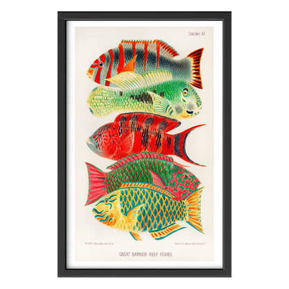 Recarga vertical Larga Switch in Art impressa Print de Galería " Peces de la Gran Barrera de Coral "