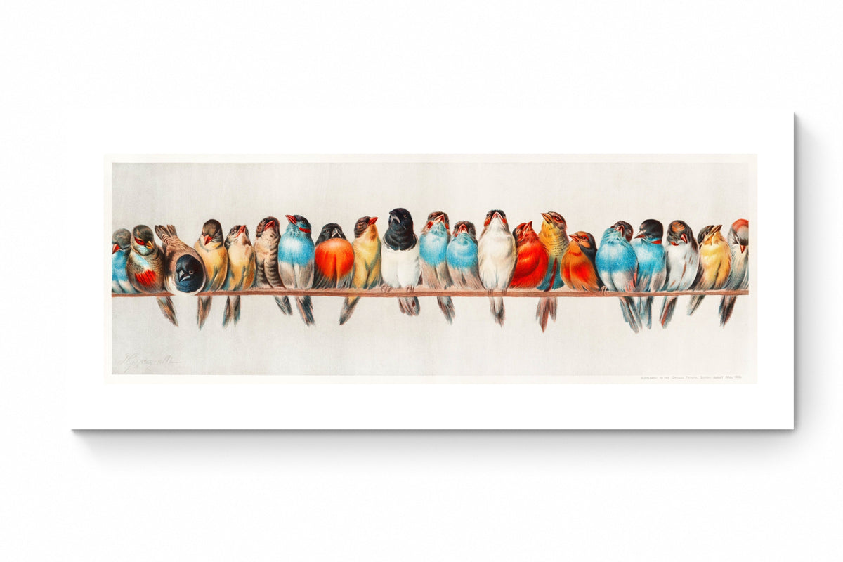 Recarga horizontal Estrecho Switch in Art impressa Print de Galería "Pájaros en una rama"